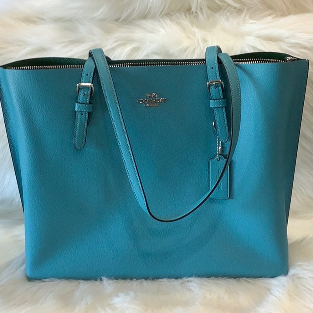 NWT! 🦋 COACH LEATHER MOLLIE TOTE
